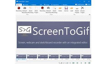 ScreenToGif for Windows - Download it from Habererciyes for free